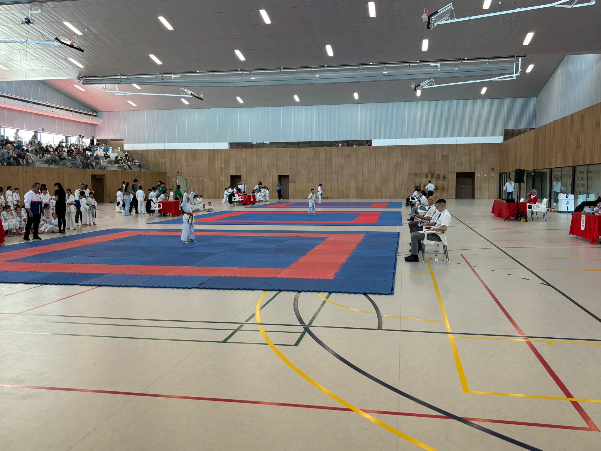 Celebrados los XXXVIII JDN de Kata Alevín, Infantil y Juvenil, y Campeonato Navarro Benjamín